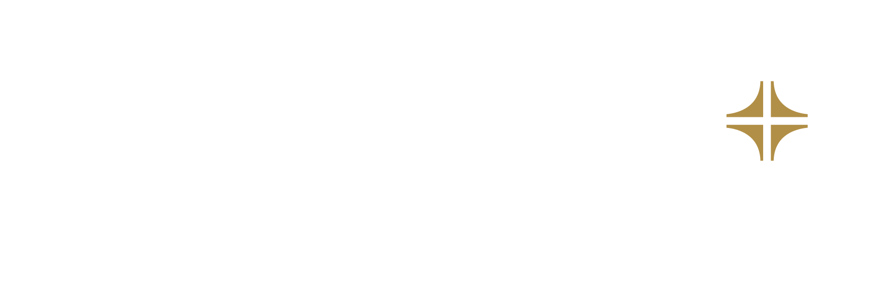 CN Sports Logo